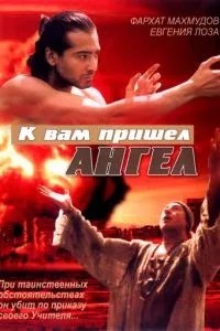 К вам пришёл ангел (2004)