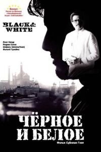 Черное и белое (2008)
