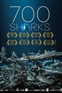 700 акул (2019)