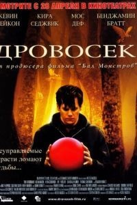 Дровосек (2004)