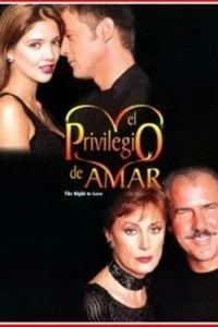 Привилегия любить (1998)