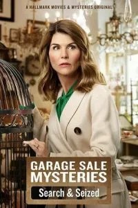 Garage Sale Mysteries: Searched & Seized (2019)
