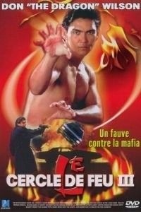 Огненное кольцо 3: Удар льва (1994)