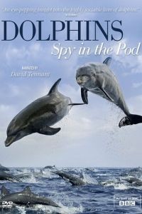 Дельфины скрытой камерой (2014)
